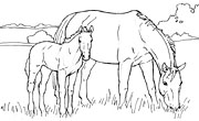 www.illustrations.com