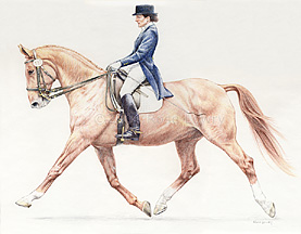 color pencil horse portrait