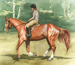 Watercolor horse portrait